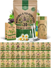 Zucchini seeds - Organo Republic seeds store Zucchini seeds